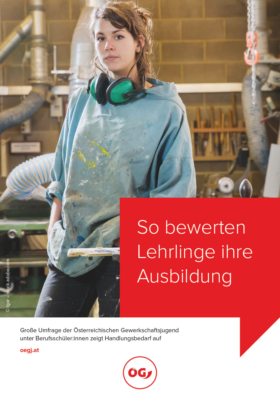 So bewerten Lehrlinge ihre Ausbildung